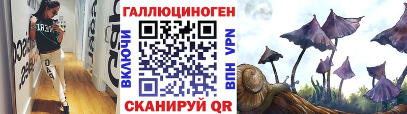 цены   Ковров  Галлюциногенные грибы Magic Shrooms 