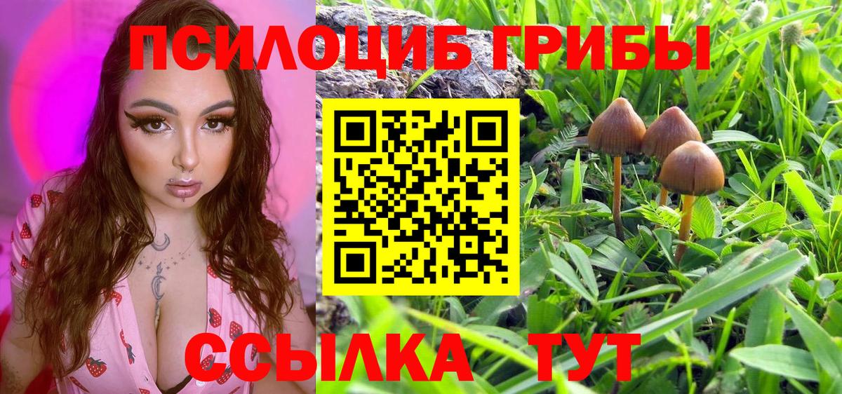 Галлюциногенные грибы ЛСД  Ковров 