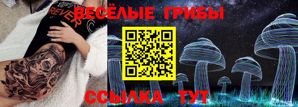 Галлюциногенные грибы Psilocybe  Вход с VPN  Ковров 