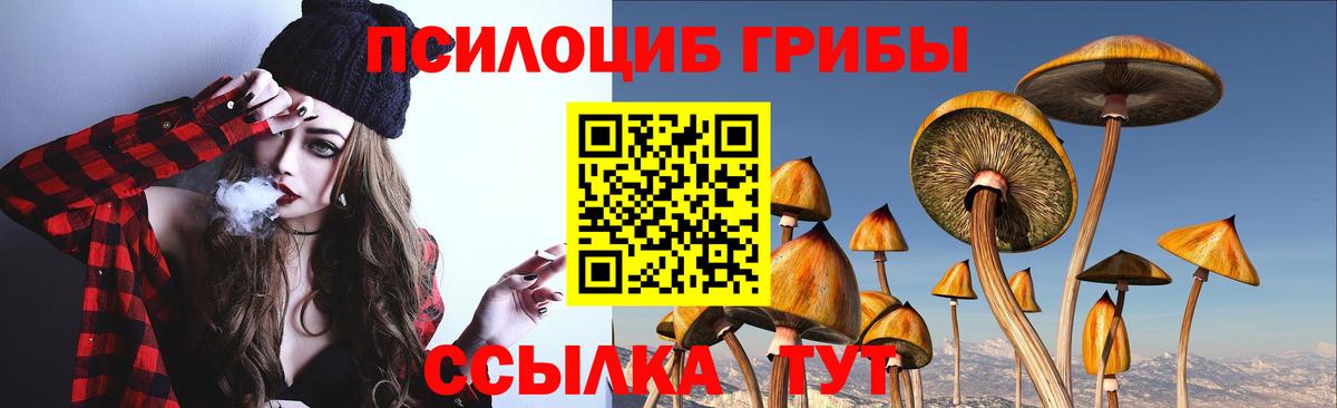 Галлюциногенные грибы прущие грибы Ковров